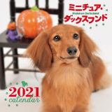 大判カレンダー　ミニチュア・ダックスフンド　２０２１