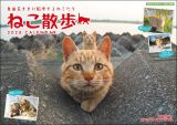 ２０２５　中山祥代ねこ散歩カレンダー