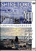 氷のゆりかご　知床　立松和平が行く流氷と森の小宇宙