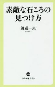 素敵な石ころの見つけ方