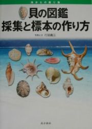 貝の図鑑採集と標本の作り方