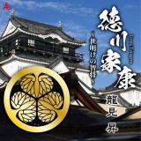 徳川家康～夜明けの智将～