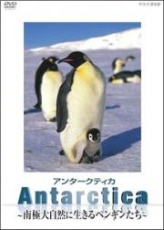 Ａｎｔａｒｃｔｉｃａ　～南極大自然に生きるペンギンたち～