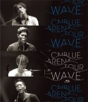 ２０１４　ＡＲＥＮＡ　ＴＯＵＲ“ＷＡＶＥ”＠ＯＳＡＫＡ－ＪＯ　ＨＡＬＬ