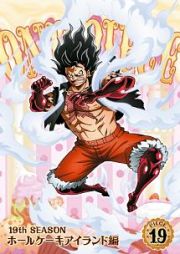 ＯＮＥ　ＰＩＥＣＥ　ワンピース　１９ＴＨシーズン　ホールケーキアイランド編　ｐｉｅｃｅ．１９