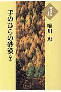 手のひらの砂漠（下）　大活字本シリーズ