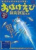 おばけえび飼育観察キット　観察期間　初夏から秋　Ｇａｋｋｅｎ科学と学習ＰＲＥＳＥＮＴＳ