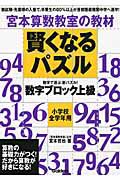 賢くなるパズル　数学ブロック　上級　小学校全学年用