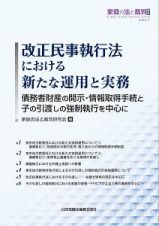 改正民事執行法における新たな運用と実務　債務者財産の開示・情報取得手続と子の引渡しの強制執行を中心に　家庭の法と裁判（Ｆａｍｉｌｙ　Ｃｏｕｒｔ　Ｊｏｕｒｎａｌ）号外