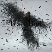 Ｂｌａｃｋ　Ｂｉｒｄ／Ｔｉｎｙ　Ｄａｎｃｅｒｓ／思い出は奇麗で