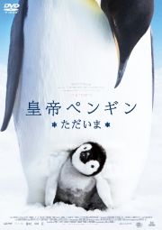 皇帝ペンギン　ただいま　スペシャル・プライス