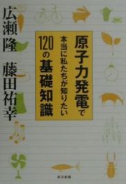 原子力発電で本当に私たちが知りたい１２０の基礎知識