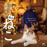 那須・長楽寺の招きねこ