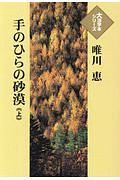 手のひらの砂漠（上）　大活字本シリーズ