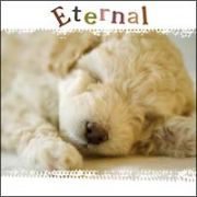 ＥＴＥＲＮＡＬ～エターナル～