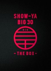 ＳＨＯＷ－ＹＡ　ＢＩＧ　３０－ＴＨＥ　ＢＯＸ－