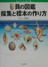 貝の図鑑採集と標本の作り方