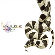 ＡＮＧＥＬ＿ＤＵＳＴ