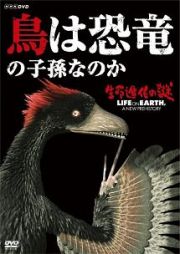 生命進化の謎　ＬＩＦＥ　ＯＮ　ＥＡＲＴＨ，　Ａ　ＮＥＷ　ＰＲＥＨＩＳＴＯＲＹ　鳥は恐竜の子孫なのか