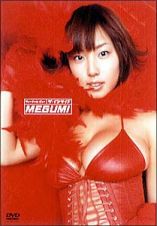 バーチャル・ビュー　ＭＥＧＵＭＩ　ザ・インサイド