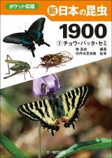 新　日本の昆虫１９００　チョウ・バッタ・セミ