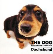 Ｄａｃｈｓｈｕｎｄ