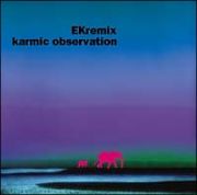 ｋａｒｍｉｃ　ｏｖｓｅｒｖａｔｉｏｎ