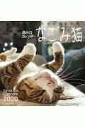 週めくりカレンダー　なごみ猫〈卓上〉　２０２０