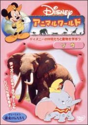 ディズニーアニマルワールド　ゾウ