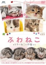 ふわねこ　スターねこの仔猫たち