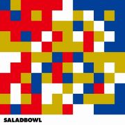 ＳＡＬＡＤＢＯＷＬ