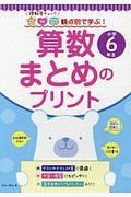 観点別で学ぶ！算数まとめのプリント　小学６年生