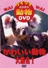 ワイワイ動物ＤＶＤ　～かわいい動物大集合！