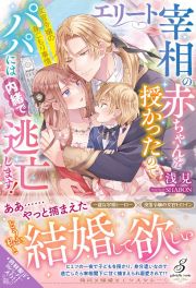 エリート宰相の赤ちゃんを授かったのでパパには内緒で逃亡します！文官令嬢の身ごもり