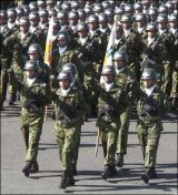 平成１９年度　自衛隊観閲式