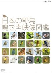日本の野鳥　鳴き声映像図鑑