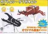 カブトムシ・クワガタムシ　ｈａｃｏｍｏ　昆虫シリーズ