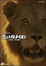 悲しき雄ライオン～王交代劇　９年の記録～