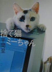 捨て猫ミーちゃん