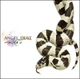 ＡＮＧＥＬ＿ＤＵＳＴ