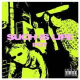 ＰＯＴ　１５周年再録ＢＥＳＴ　ＡＬＢＵＭ　「ＳＵＣＨ　ＩＳ　ＬＩＦＥ」