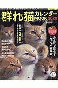 群れ猫カレンダーＭＯＯＫ　２０２０