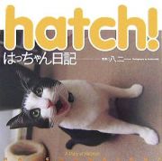 ｈａｔｃｈ！　はっちゃん日記