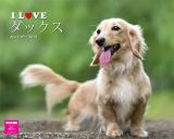 Ｉ　ＬＯＶＥ　ダックス　カレンダー　壁掛け　２０１９