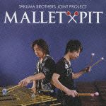 ＭＡＬＬＥＴ×ＰＩＴ