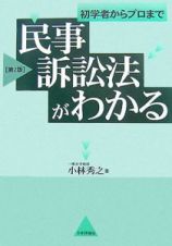 民事訴訟法がわかる＜第２版＞