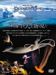 ＮＨＫスペシャル　ディープオーシャン　南極　深海に巨大生物を見た