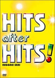 ＨＩＴＳ　ａｆｔｅｒ　ＨＩＴＳ！～ｒｅｇｇａｅ！ｓｋａ！～