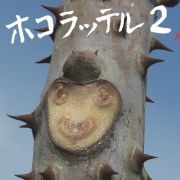 ホコラッテル２