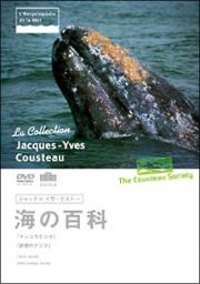 ジャック＝イヴ・クストー海の百科　マッコウクジラ／砂漠のクジラ